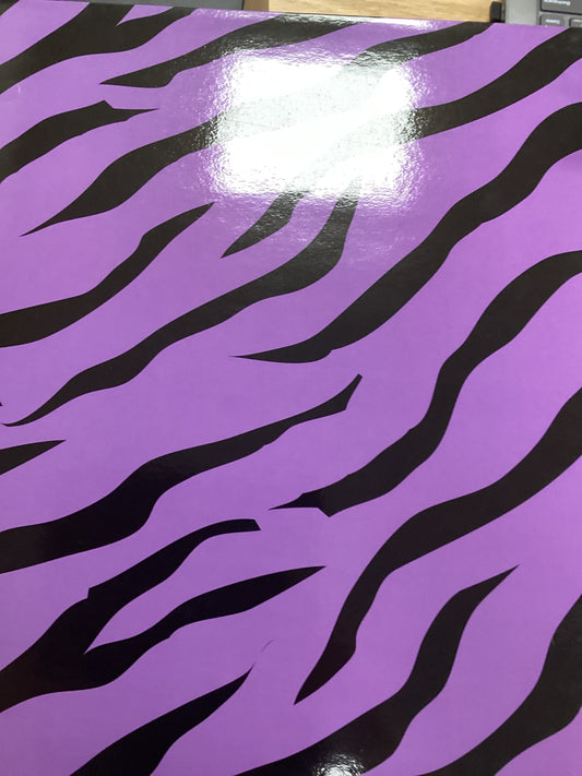 Animal Print 2-Pocket Folder