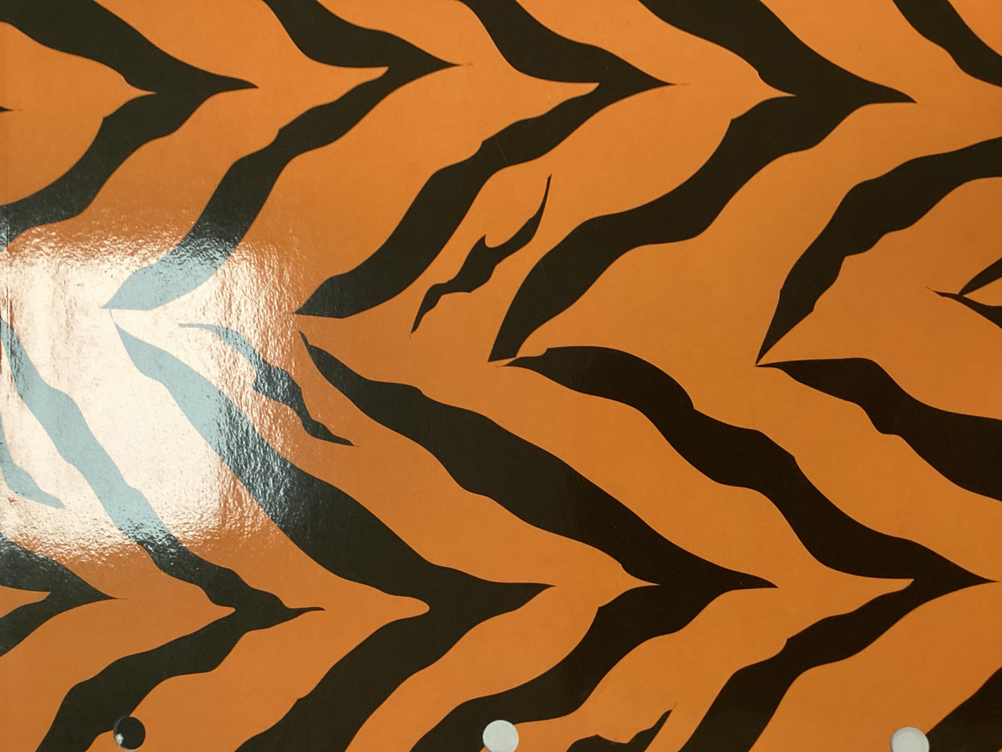 Animal Print 2-Pocket Folder